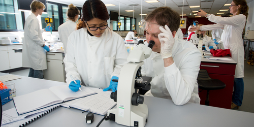 Two students of the School of Applied Sciences working in one of the University's laboratories