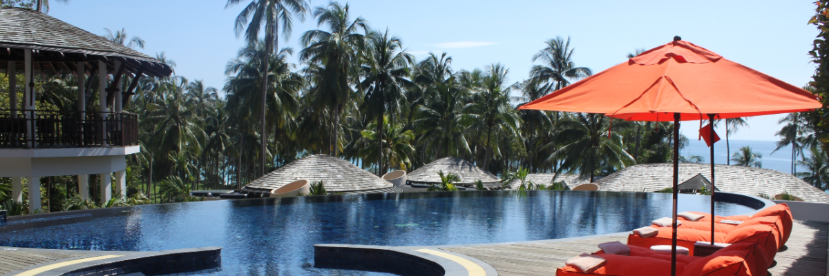 A hotel pool with sun loungers and parasols, and palm trees in the background