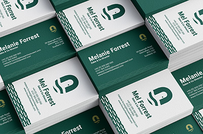 House of Seaweed cards