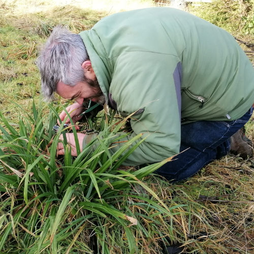Person examining grass with a magnifying tool