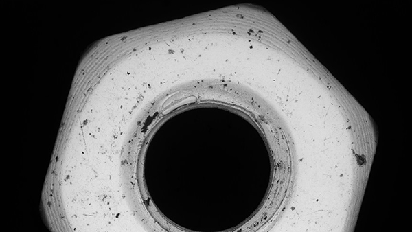 nut in microscope
