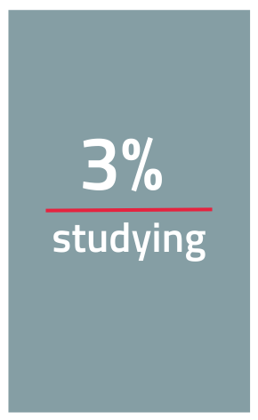 3% studying