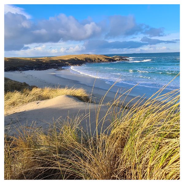 Scottish coastline with sand dunes and sea