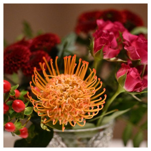 A close up of flowers
