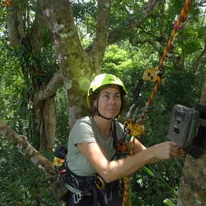 Lucy Hughes scaling a tree to reach an observation position high in the rainforest canopy