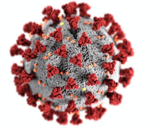 Close up of coronavirus.