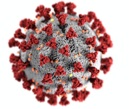 Close up of coronavirus