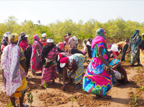 Villagers at work during Vanga Bay launch