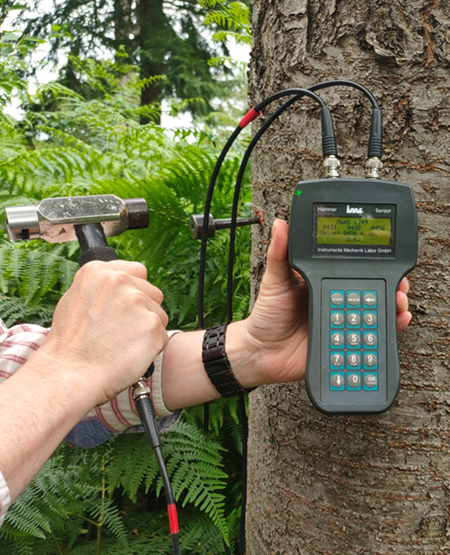 A piece of equipment on a tree