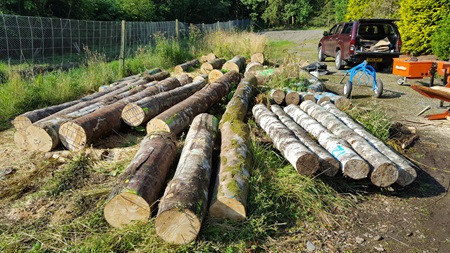 A row of timber logs on a patch of grass