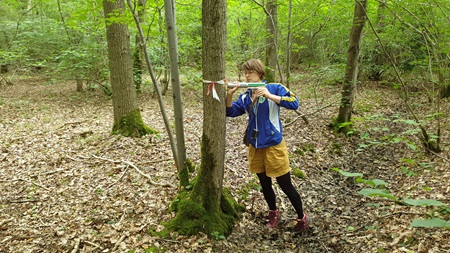 A researcher using a equipment to analyse a tree