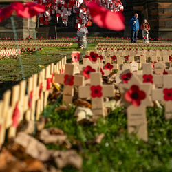 Rows of wooden remembrance crosses with red poppies in a memorial field, with additional poppies and visitors blurred in the background.