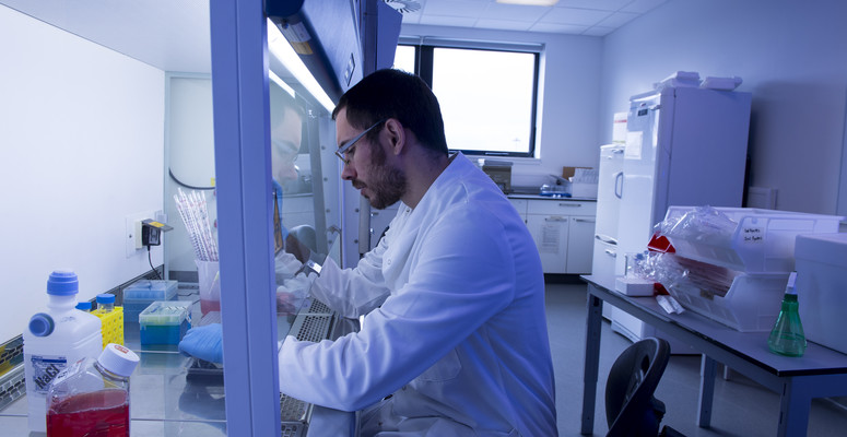 Researcher working in one of the laboratories at Sighthill campus