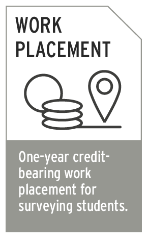 One-year credit-bearing work placement for surveying students.