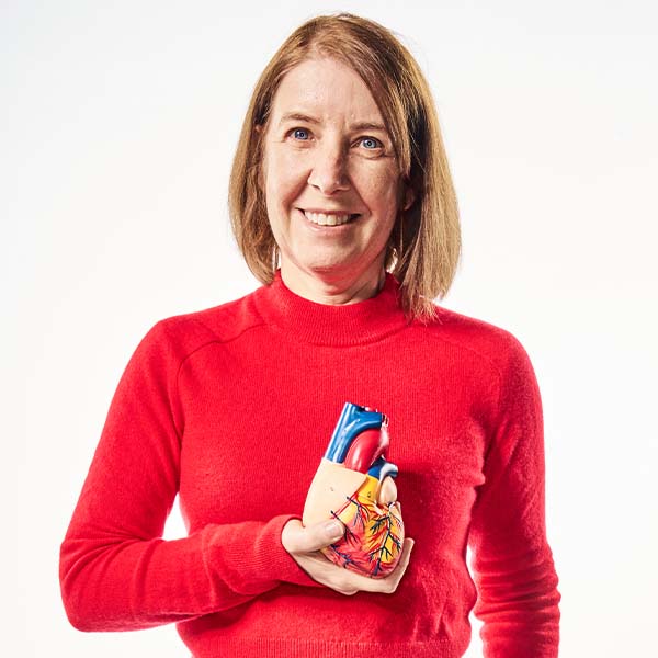 lis, a cardiovascular health professor, holds a 3d model of a heart