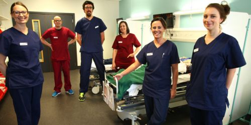 Healthcare practitioners standing in a clinical setting wearing medical scrubs